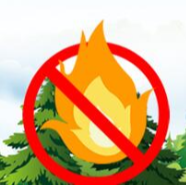 安全知识科普｜必知！森林防火攻略