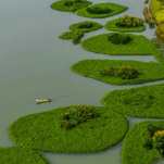 沅澧大地治水向新