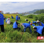 从50人到6000人！宁乡这个环保志愿服务组织，凭什么圈粉无数、斩获省级殊荣？