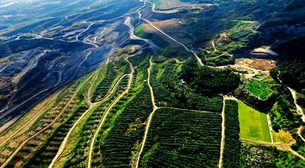 自然资源部印发通知：加快推进宅基地和集体建设用地使用权确权登记