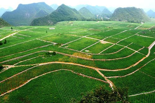 第三十个全国土地日宣传主题确定 节约集约用地  严守耕地红线