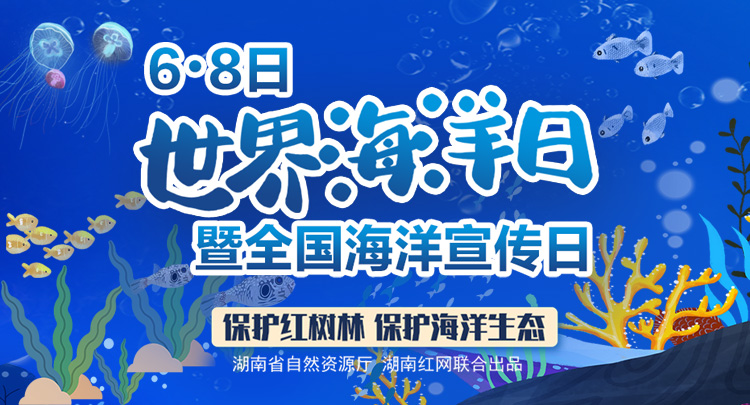  H5丨世界海洋日：保护红树林 保护海洋生态