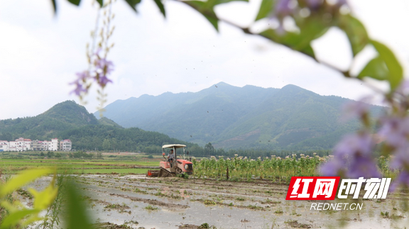 湖南宁远：土地整治项目区 人欢机鸣劳作忙