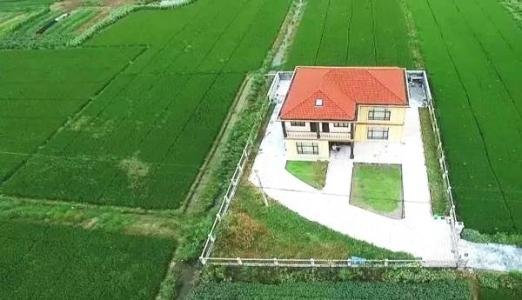 《农村乱占耕地建房问题摸排工作方案》印发
