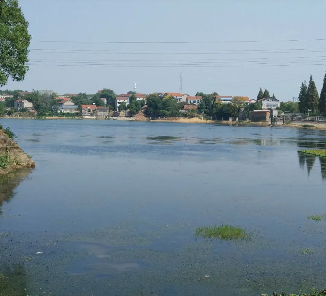 湖南省城市黑臭水体整治典型案例之十：津市市清远观水库黑臭水体整治项目