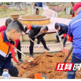 长沙坪塘街道花溪社区“学雷锋”系列活动持续开展中