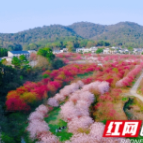 不用预约，星城向西＂光明村＂里可撒欢