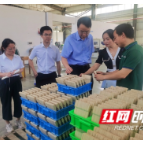 邵阳市金融服务中心来城步县开展主题调研