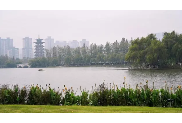 苏璇：山市晴岚，风华浪漫