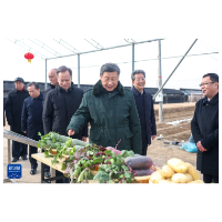 辛小湘丨感受总书记春节足迹里“最深的牵挂”