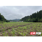 炎陵县召开耕地恢复工作现场会