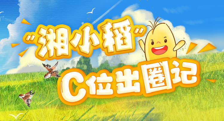 “湘小稻”C位出圈記