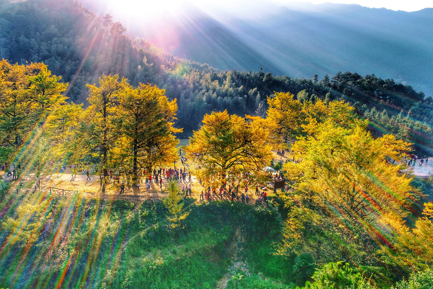 2019070321004795.jpg 2019070321004795.jpg