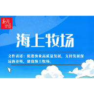 海报丨一号文件中的这些 “热词”藏着经济大文章