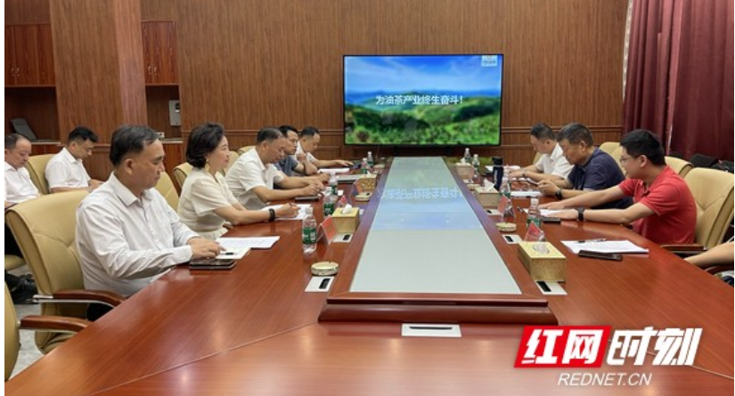 湖南省市场营销协会一行调研神农国油  为千亿茶油产业高端化路径“把脉开方”