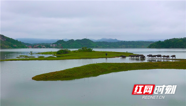 新化龙湾国家湿地公园图片