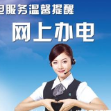 国网娄底供电公司开展“网上国网”智能缴费业务有礼活动