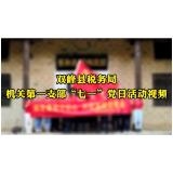 视频丨双峰县税务局机关第一支部开展“七一”主题党日活动
