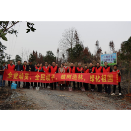 上梅街道：新年义务植树添新“绿”