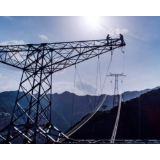 国网冷水江市供电公司开展通道治理百日攻坚专项行动