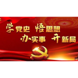 娄底市政府办：坚持“四个结合” 党史学习教育实招见实效