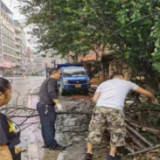 新化公路积极应对持续暴雨极端天气