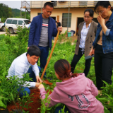 娄星区科技专家服务团组织专家为柑橘产业解决技术难题