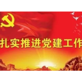 娄底市水利局：努力推动机关党建高质量发展