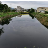 娄底市水利局专项整治水生态环境问题