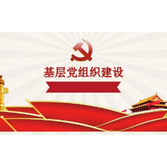 互联互通 网聚合力——娄底经开区互联网行业联合支部积极创建标杆党组织