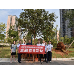 党徽红树木绿 娄底经开区税务局开展移植树木主题党日活动