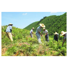 新化税务：万名干部联万企 便民办税解难题