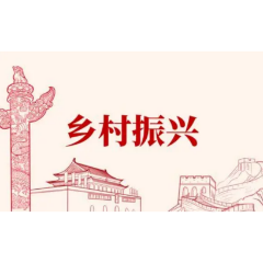 娄底经开税务：“三个结合”助力乡村振兴