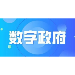 娄底市加快推进县市区数字政府建设工作