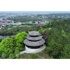 视频｜春满中阳绿满村