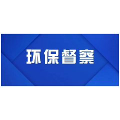 第三批转办信访件：群众信访举报转办及地方查处情况一览表