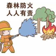 娄底铁塔：担当作为 助力森林防火