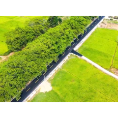 视频｜最美农村路 串起三色画卷 绘就双峰乡村振兴新图景