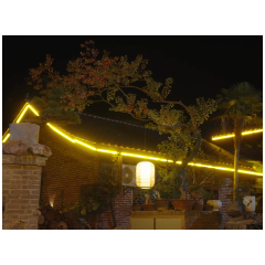 “路筑振兴梦”线上主题展示｜《幸福回家路》第二集