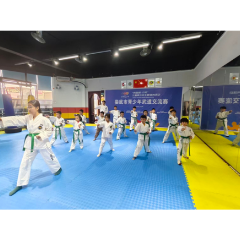 “奔跑吧・少年”武道交流赛落幕 娄底516名青少年展运动风采