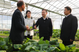 何朝晖到双峰县调研农业生产和森林防灭火工作并征求对《政府工作报告（征求意见稿）》意见