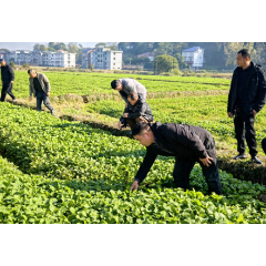 娄底:壮大新农人队伍 推动农业产业高质量发展