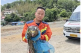 娄底：应急演练救助的坠塘蛇雕顺利放飞大自然