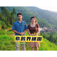 Vlog｜外籍博主打卡“梯田王国”紫鹊界