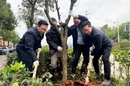 视频｜娄底城管系统开展义务植树活动 为城市添新绿