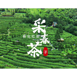 视频丨新化奉嘎山：一叶兴产业 茶香润乡村