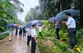 省中药材专家下沉新化护航黄精产业