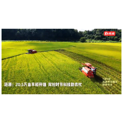 视频|涟源:20.5万亩早稻开镰 双抢时节科技助农忙