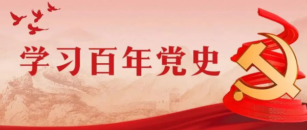 岳阳楼区税务局：利用红色资源开展党史学习教育