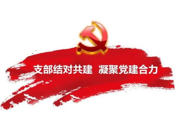 宁乡税务：“三亮三比”争先锋  支部共建聚合力
